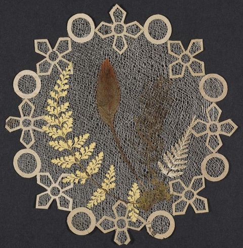 A circular piece of lace with a delicate cut-out border, featuring pressed leaves and ferns arranged symmetrically on a black background.